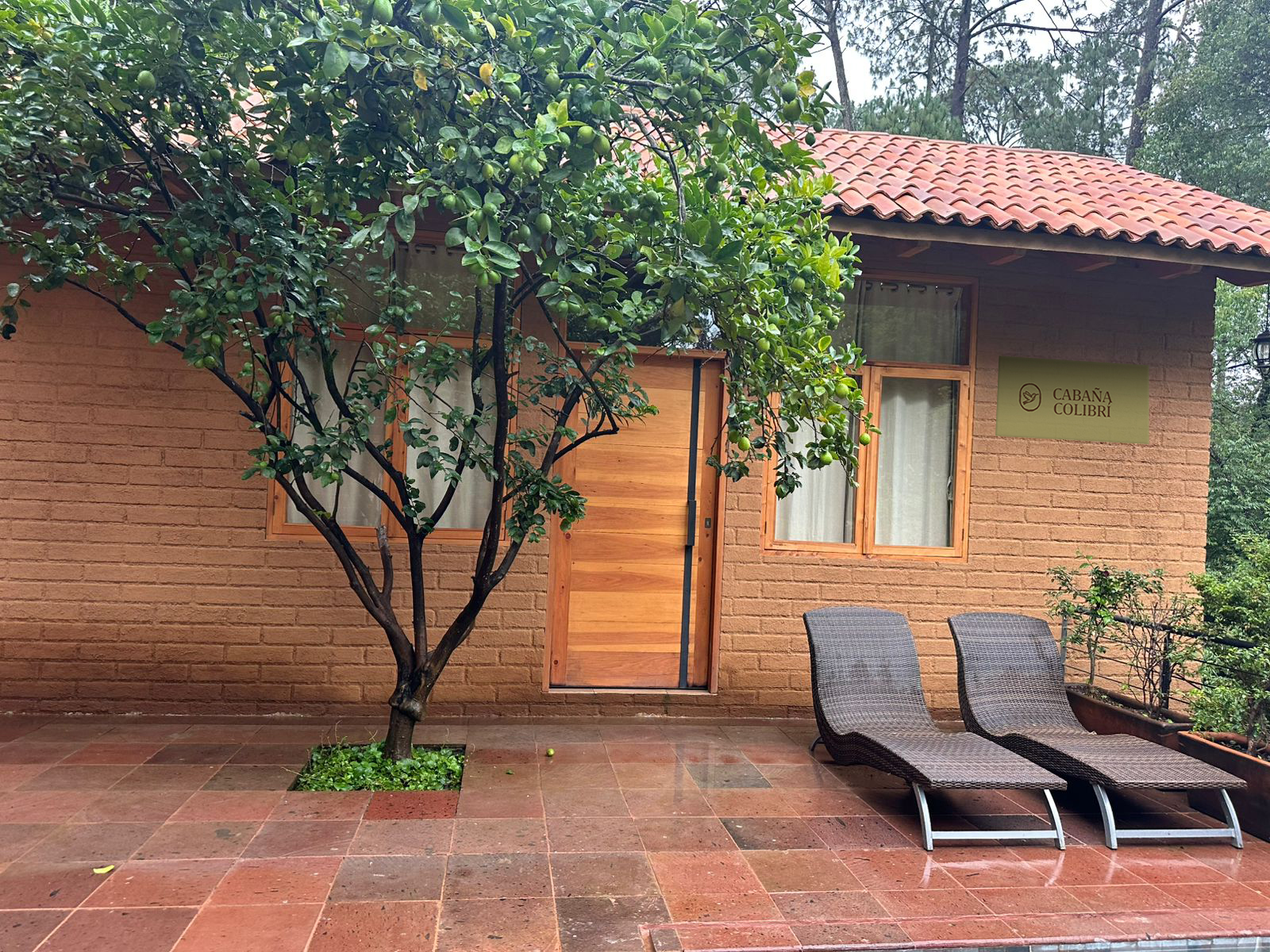 Cabaña colibrí 1