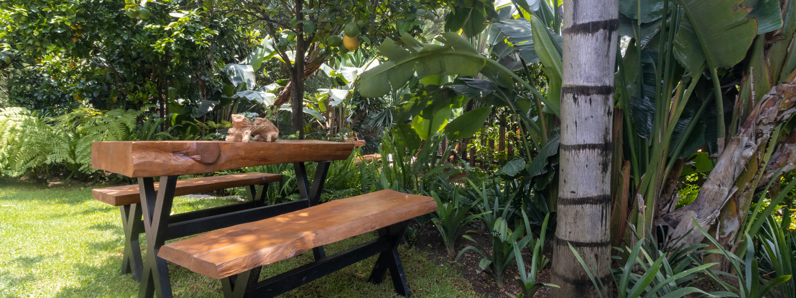 _MG_1210_cover_1600x600